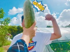 网红吃瓜群众本人是谁  第3张